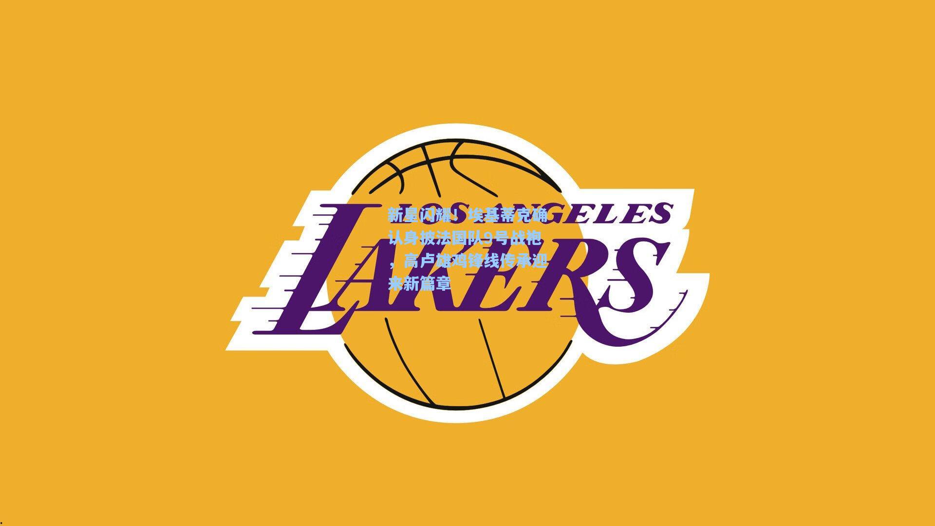 新星闪耀！埃基蒂克确认身披法国队9号战袍，高卢雄鸡锋线传承迎来新篇章